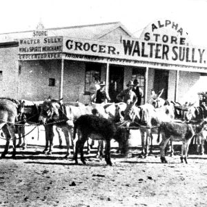 1880 - Walter Sully's & Donkey Team
