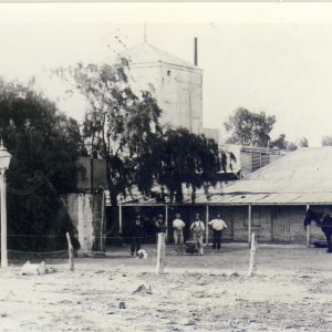 1894 - Lion Brewery