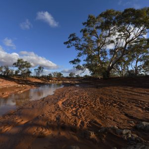 Black Hill Creek