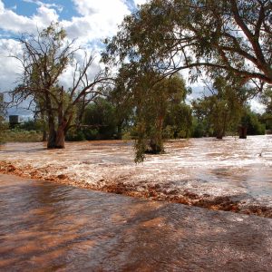 Creek Crossing at Penrose Park