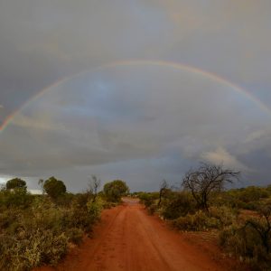 Outback Rainbow