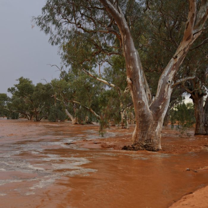 Silverton Creeks