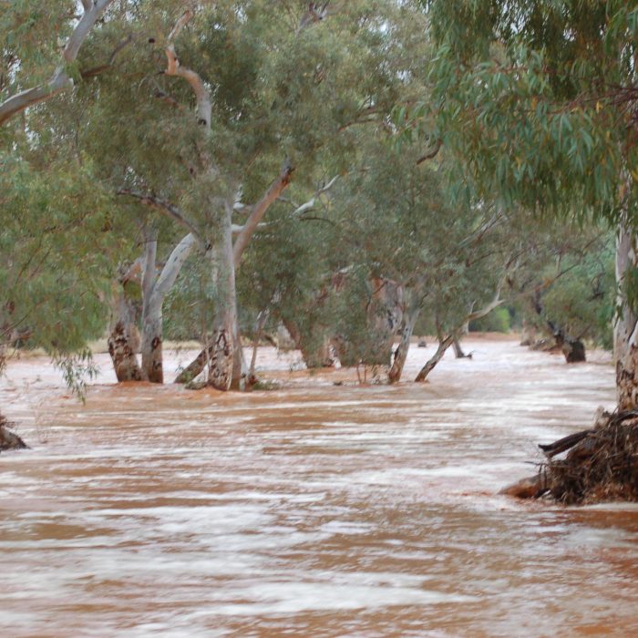 Silverton Creeks