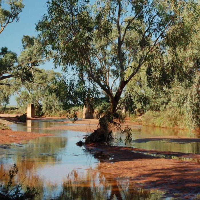 Silverton Creeks