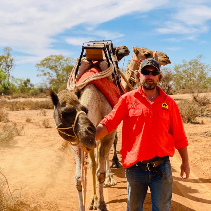 Silverton Outback Camels