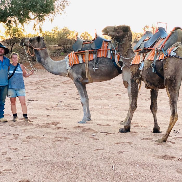 Silverton Outback Camels