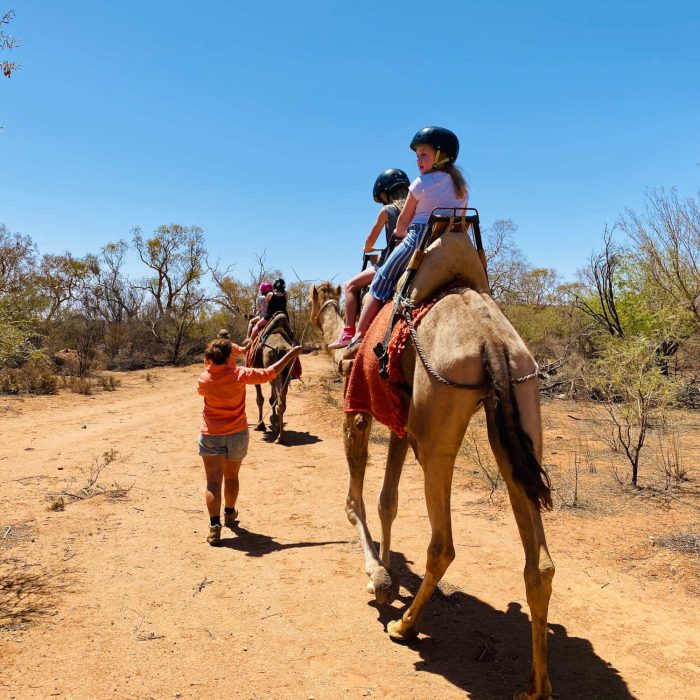 Silverton Outback Camels