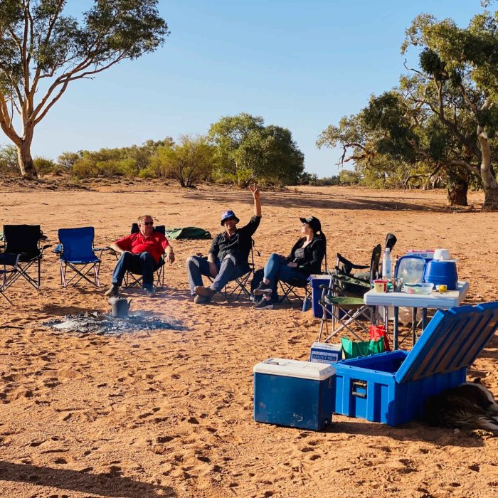 Silverton Outback Camels